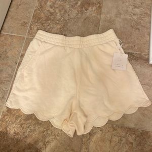Lauren Conrad Shorts NWT Small